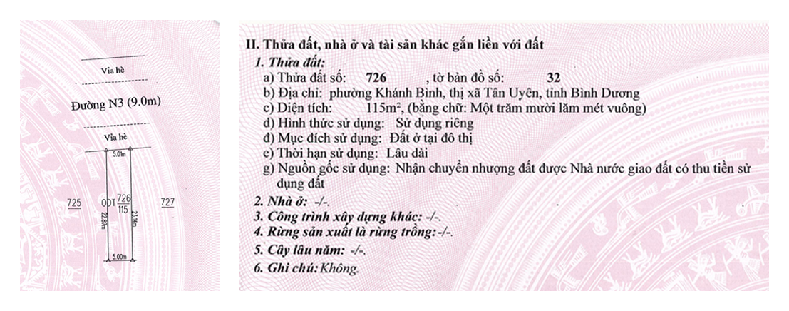 Sơ đồ và thông tin thửa đất số 726 trích từ sổ đỏ